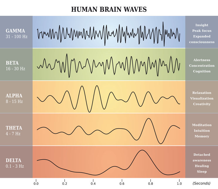 Brainwaves And The Law Of Attraction Law Of Attraction Path 1717